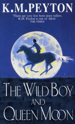 Cover of the book The Wild Boy And Queen Moon by Paul Stewart, Chris Riddell