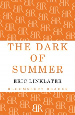 Book cover of The Dark of Summer