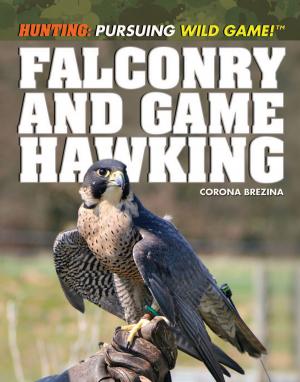 Cover of the book Falconry and Game Hawking by Jason Porterfield