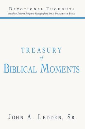 Cover of the book Treasury of Biblical Moments by Jeff C. VanZant