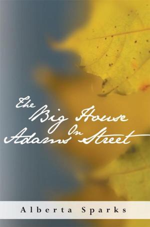 Cover of the book The Big House on Adams Street by Pam Wilson