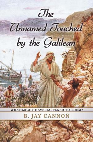 Cover of the book The Unnamed Touched by the Galilean by Brett Heintzman