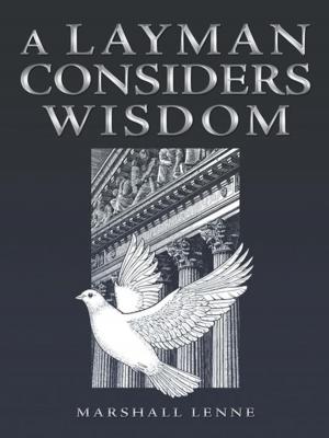 Cover of the book A Layman Considers Wisdom by Paulette C. Hammack