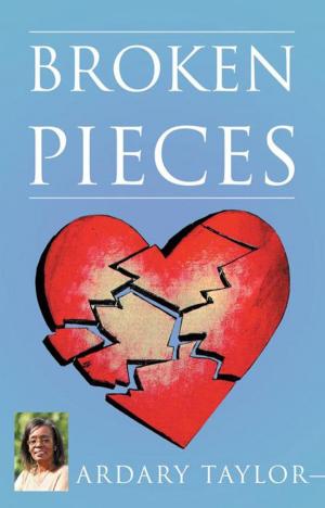 Cover of the book Broken Pieces by Dr. Kwasi Kodua Addai-Mensah