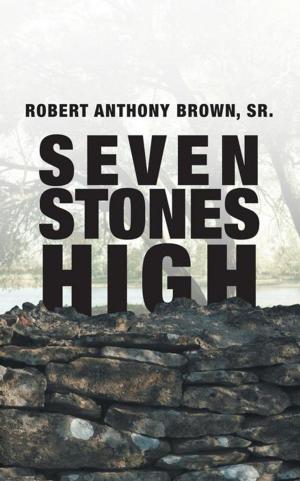 Cover of the book Seven Stones High by Joy Fleming PhD PsyD