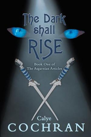 Cover of the book The Dark Shall Rise by Jeremy Steng
