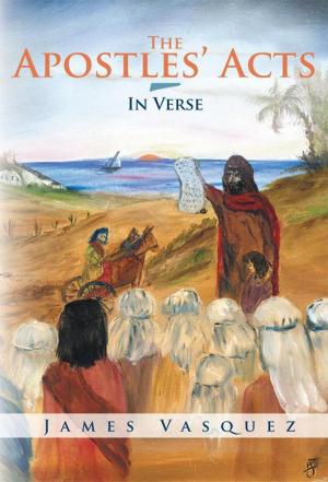 bigCover of the book The Apostles' Acts - in Verse by 