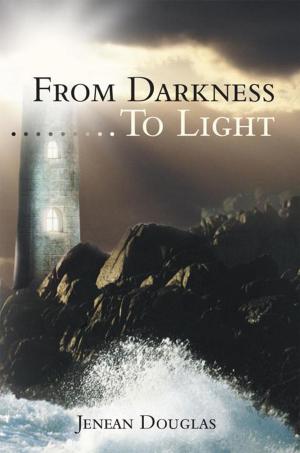 Cover of the book From Darkness………To Light by Jesse Davis