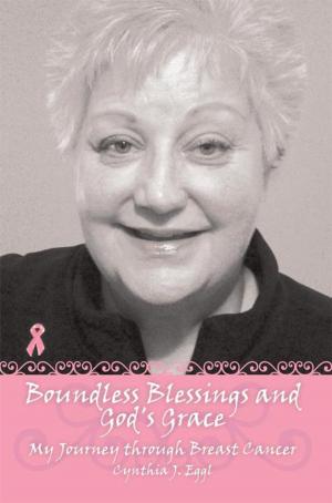Cover of the book Boundless Blessings and God's Grace by Karen Petit
