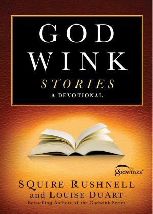 Cover of the book Godwink Stories by Joe Wheeler