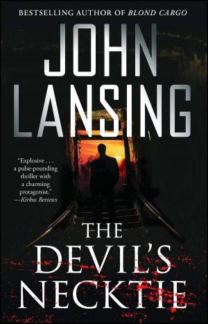 Cover of the book The Devil's Necktie by Sarah Lewitinn