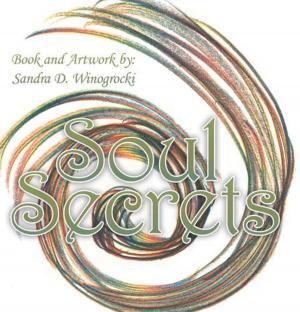 Cover of the book Soul Secrets by Kate Elizebeth Nagel