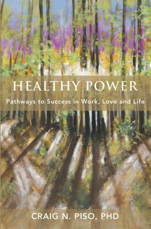Cover of the book Healthy Power by Patrick Williams
