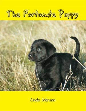 Cover of the book The Fortunate Puppy by Bonnie Nack Ed. D.