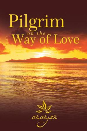 Cover of the book Pilgrim on the Way of Love by Paul Williamson