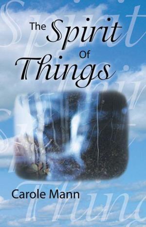 bigCover of the book The Spirit of Things by 