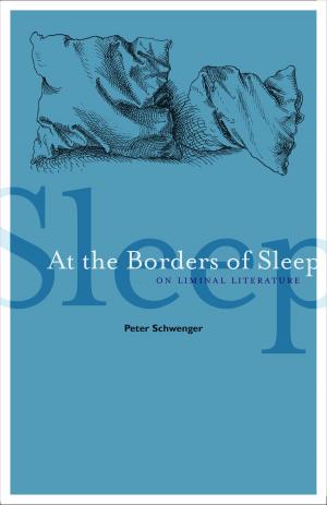 Cover of the book At the Borders of Sleep by Michael Cramer