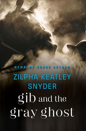 Cover of the book Gib and the Gray Ghost by Joseph Michael Reynolds