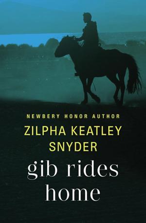 Cover of the book Gib Rides Home by Anne Perry