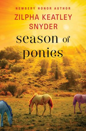 Cover of the book Season of Ponies by Brandi Elledge