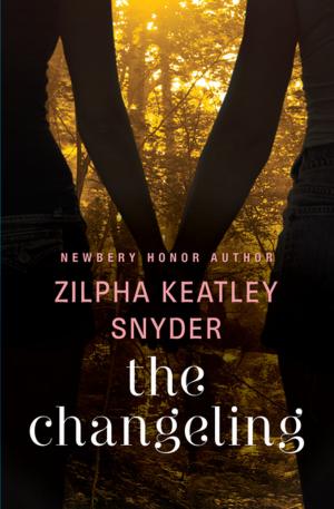 Cover of the book The Changeling by Lesley Glaister