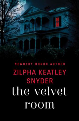 Cover of the book The Velvet Room by Sean Williams