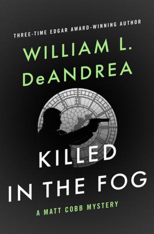 Cover of the book Killed in the Fog by Caroline Kepnes