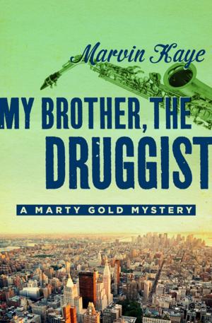 Cover of the book My Brother, the Druggist by Andrew Hiscock