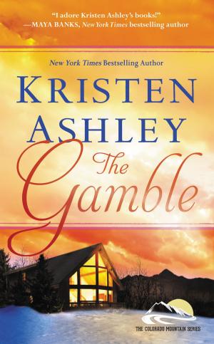Cover of the book The Gamble by Stephen Leeb