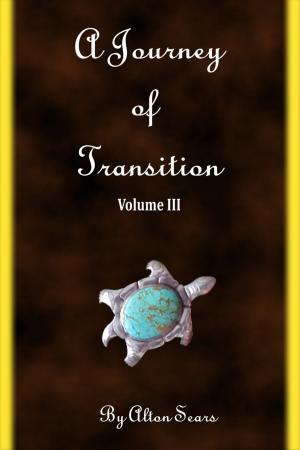 Cover of the book Journey of Transition Volume 3 by Adrian Corday
