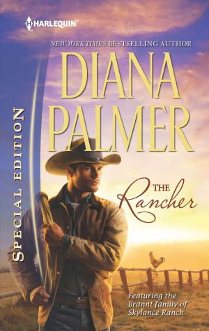 Cover of the book The Rancher by Anne Ashley