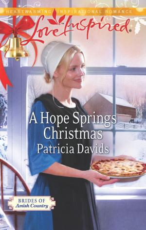 Cover of the book A Hope Springs Christmas by Barbara Wallace