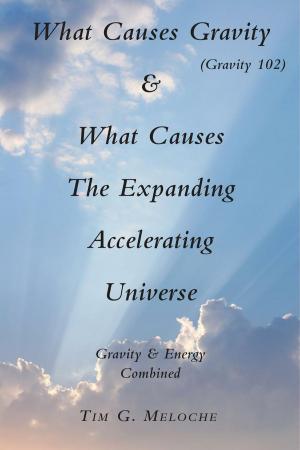 Cover of the book What Causes Gravity by Lauren Somerton