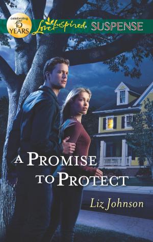 bigCover of the book A Promise to Protect by 