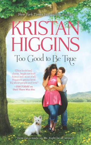 Cover of the book Too Good to Be True by Lindsay McKenna
