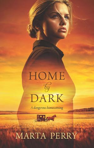 Cover of the book Home by Dark by Maisey Yates