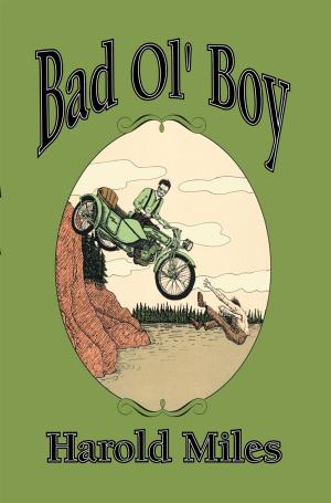 Cover of the book Bad Ol’ Boy by 