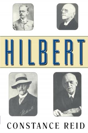 Cover of the book Hilbert by Chiara Brombin, LUIGI SALMASO