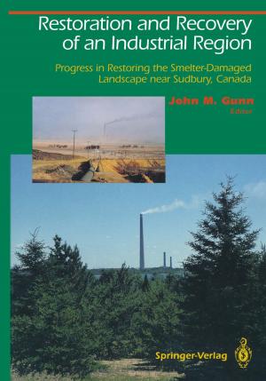 Cover of the book Restoration and Recovery of an Industrial Region by Alexander Tagantsev, L. Eric Cross, Jan Fousek