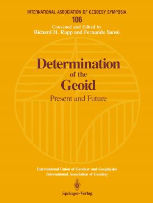 Cover of the book Determination of the Geoid by Anthony S-Y Leong