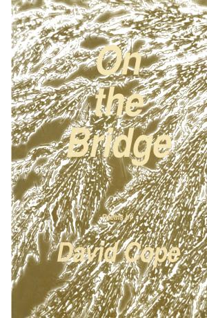 Book cover of On the Bridge