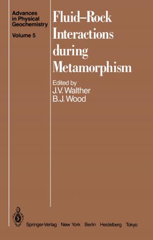 Cover of the book Fluid—Rock Interactions during Metamorphism by Joseph I. Goldstein, Dale E. Newbury, Joseph R. Michael, Nicholas W.M. Ritchie, John Henry J. Scott, David C. Joy