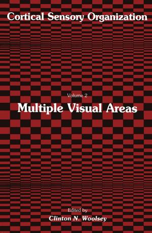 Cover of the book Multiple Visual Areas by Antar S. K. Mberi