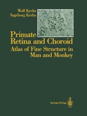Cover of the book Primate Retina and Choroid by Richard Smardon