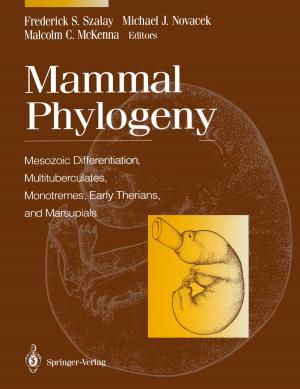 Cover of the book Mammal Phylogeny by Fayҫal Bouhafs, Michael Mackay, Madjid Merabti