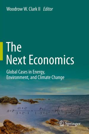 Cover of the book The Next Economics by Sanjay Mohapatra, Ranjan Prasad Singh