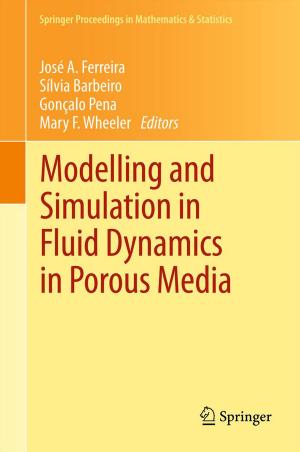 Cover of the book Modelling and Simulation in Fluid Dynamics in Porous Media by J. MARTIN SERRANO