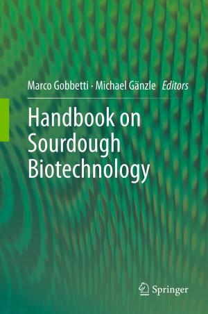 Cover of the book Handbook on Sourdough Biotechnology by José Marín-García