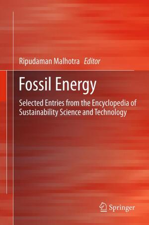 bigCover of the book Fossil Energy by 