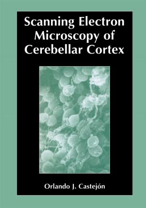 Cover of the book Scanning Electron Microscopy of Cerebellar Cortex by José Marín-García